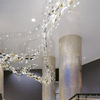 Commercial Center Club YLEU-2023-026