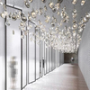 Commercial Center Club YLEU-2023-030