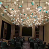 Commercial Center Club YLEU-2023-027