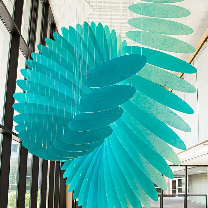 Top Ranking YLEU-2023-091