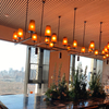 Chandelier Pendant YLEU-2024-003